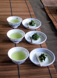 Japan tea tasting
