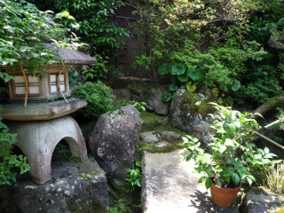 japanese garden